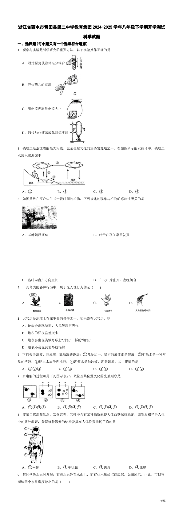 缩略图