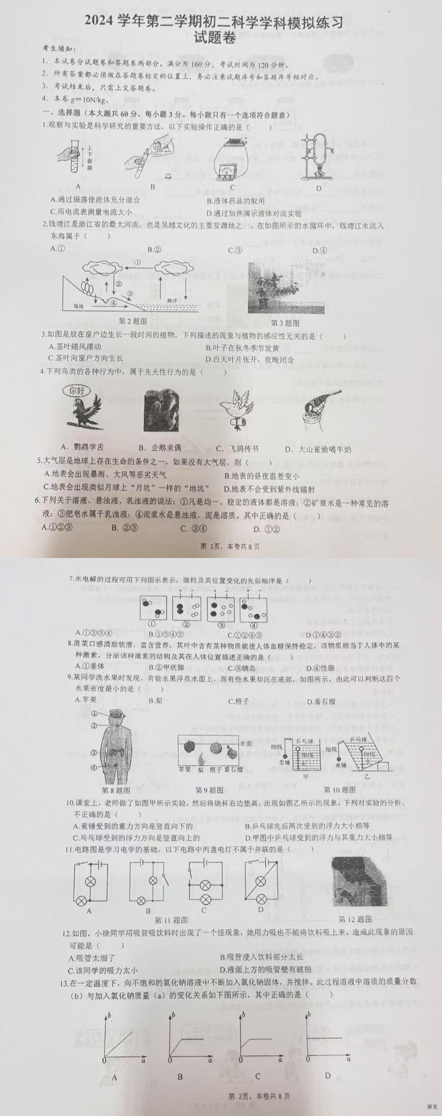 缩略图