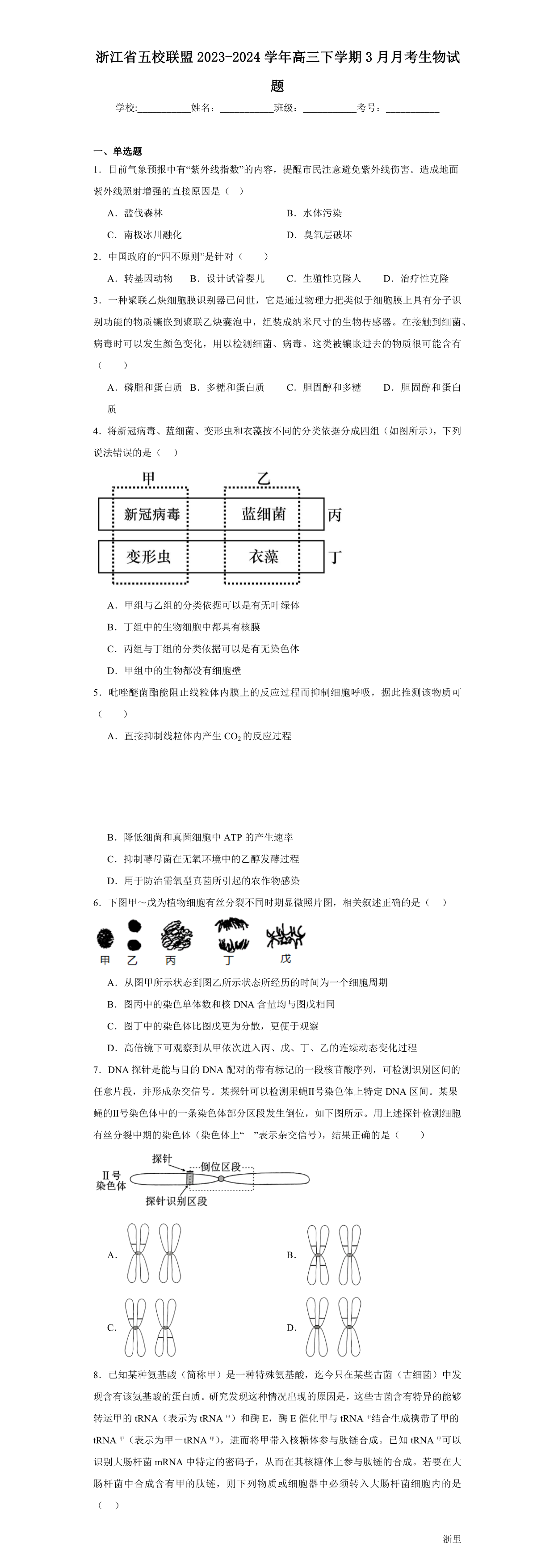 缩略图