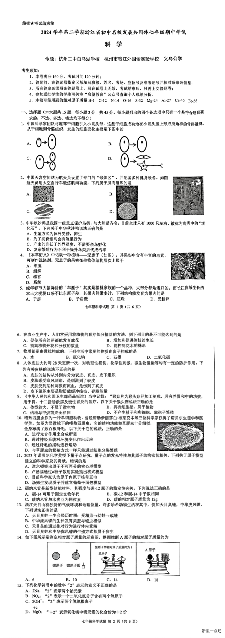缩略图