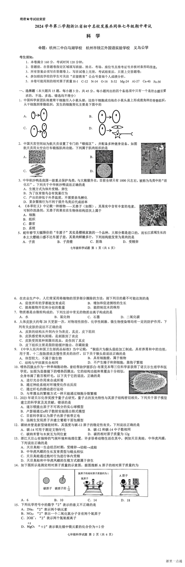 缩略图