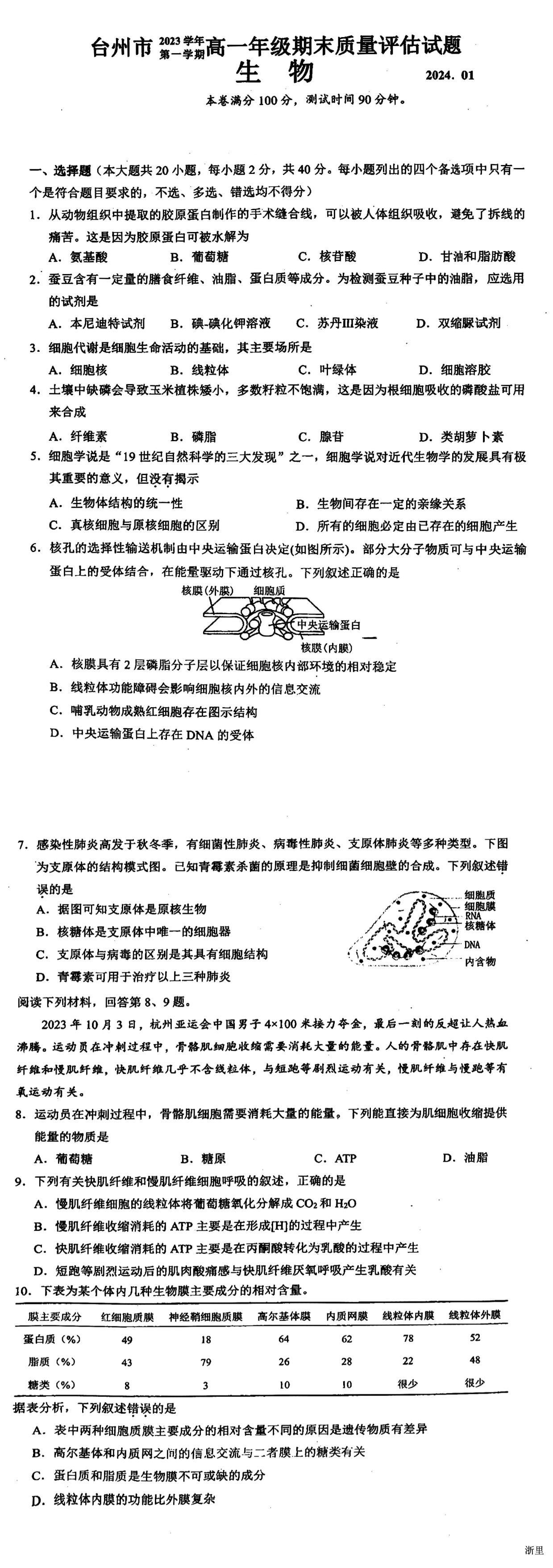 缩略图