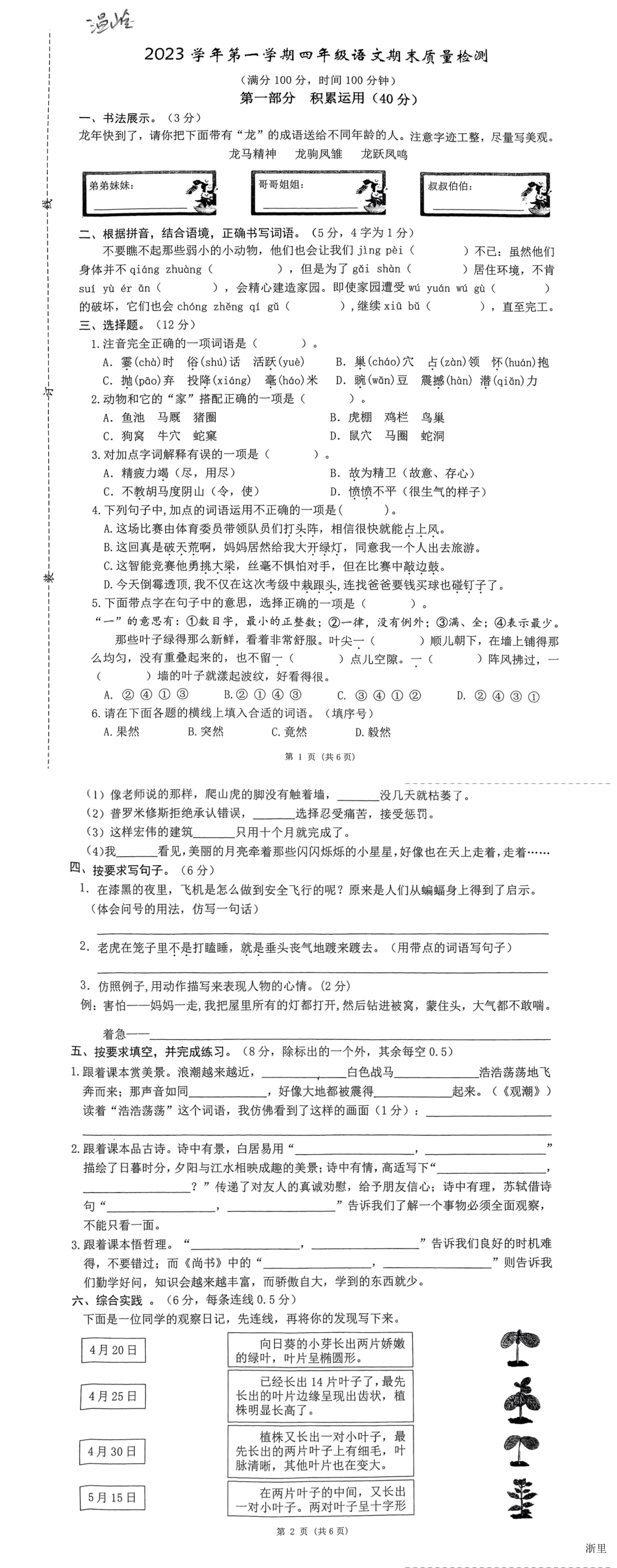 缩略图