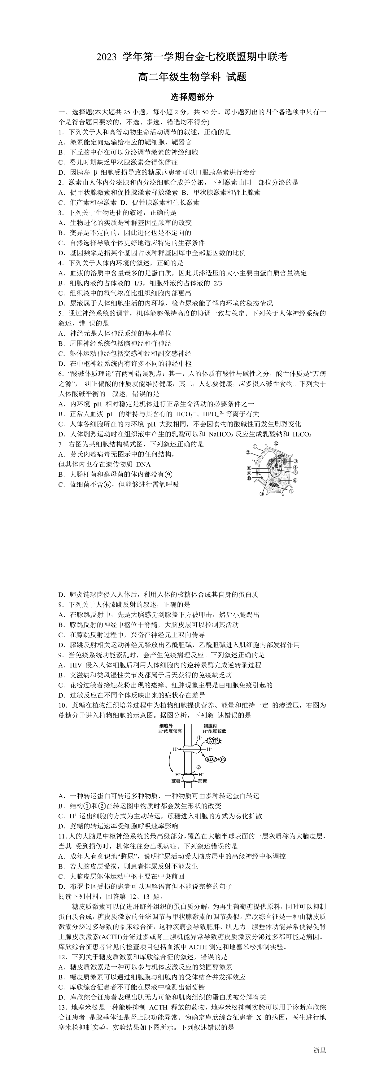 缩略图