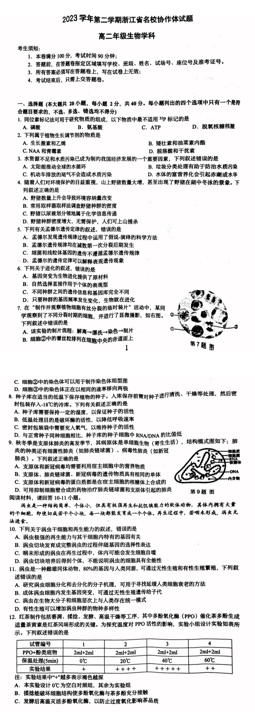 缩略图
