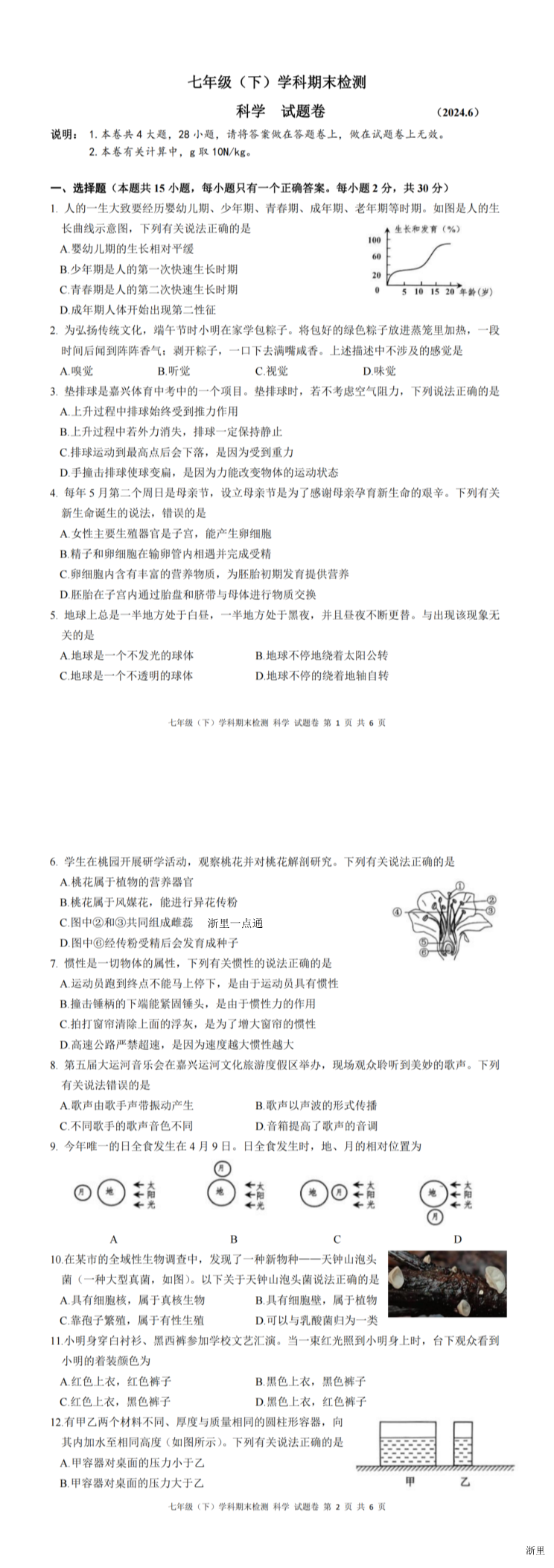 缩略图