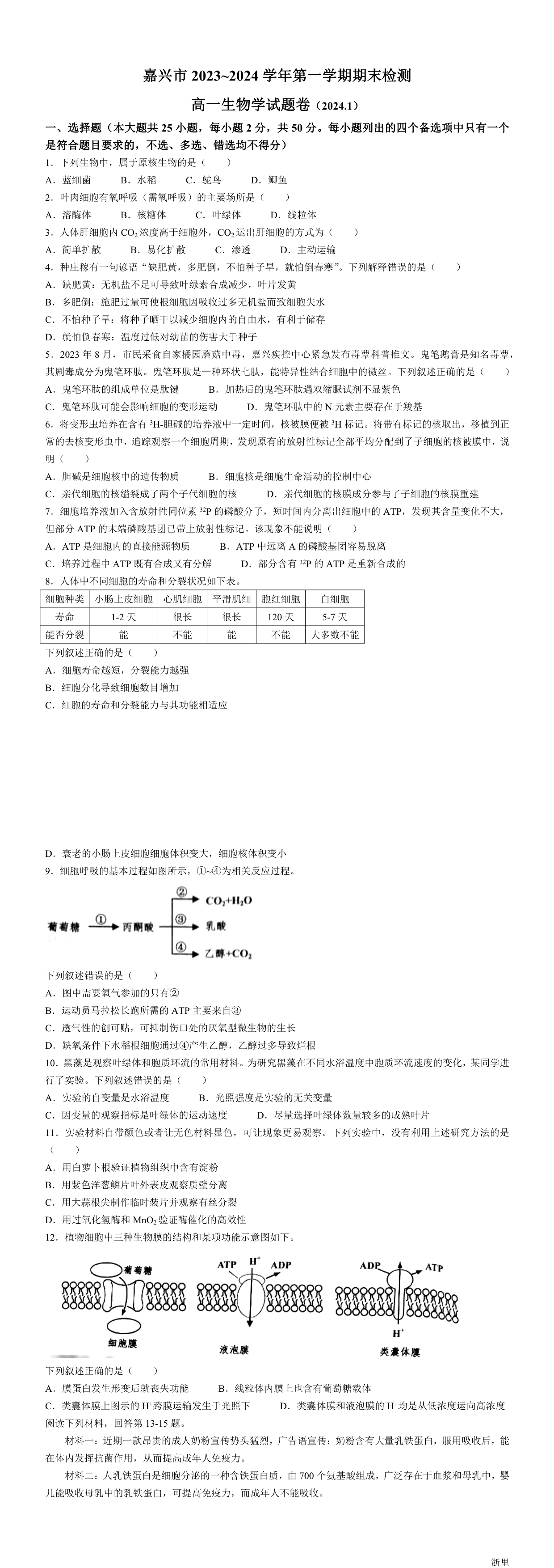 缩略图
