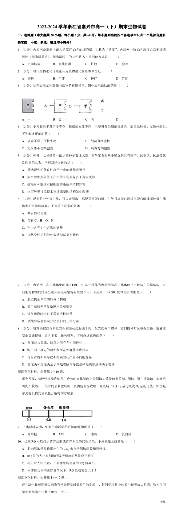 缩略图