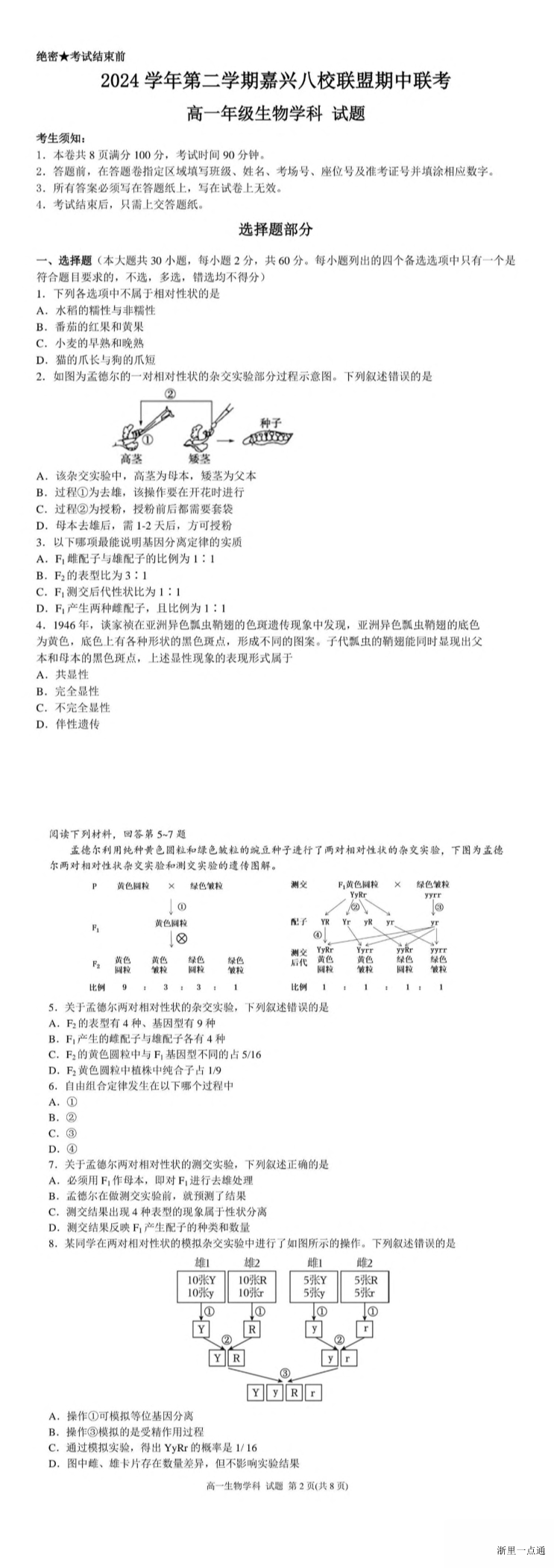 缩略图