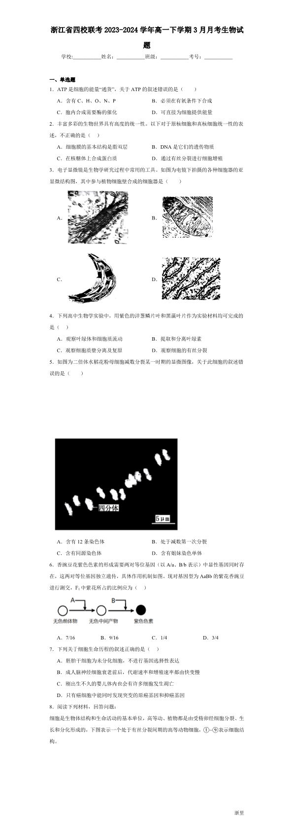 缩略图
