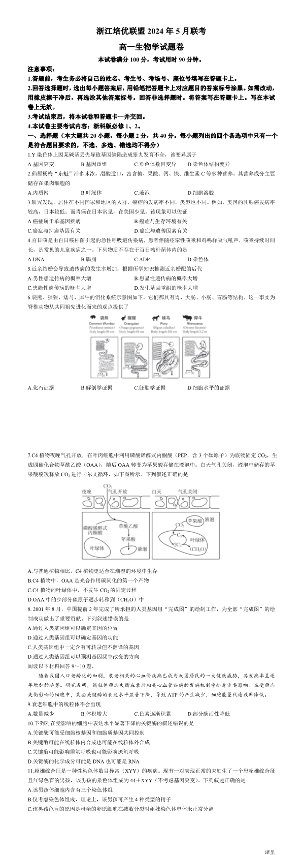 缩略图