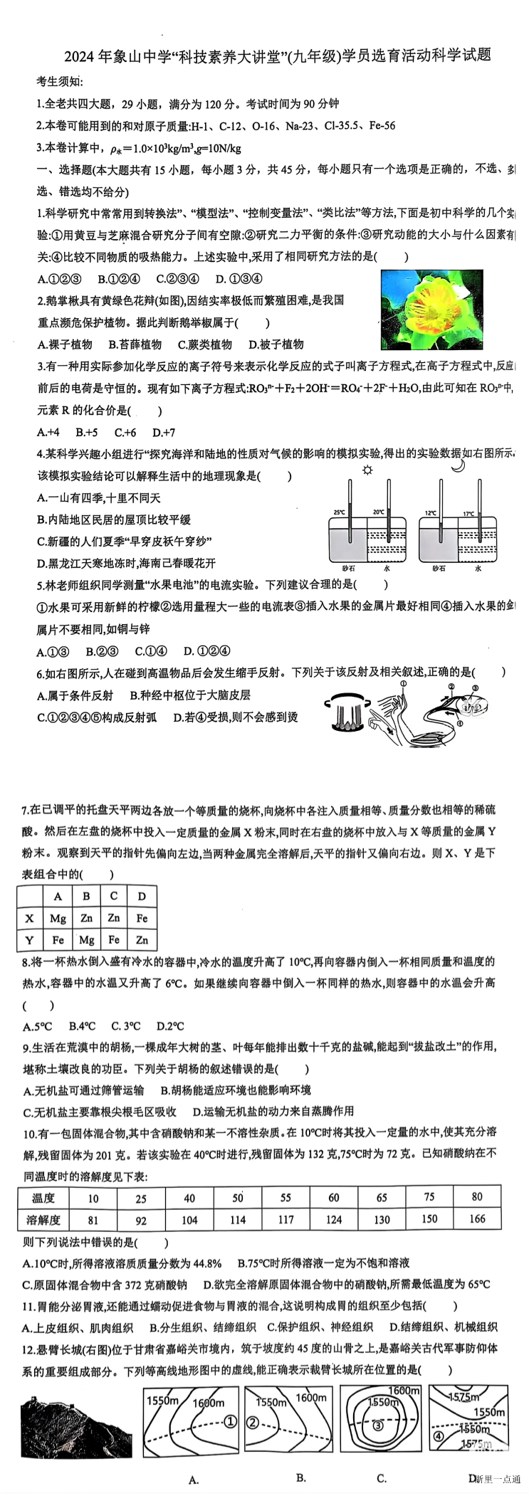 缩略图