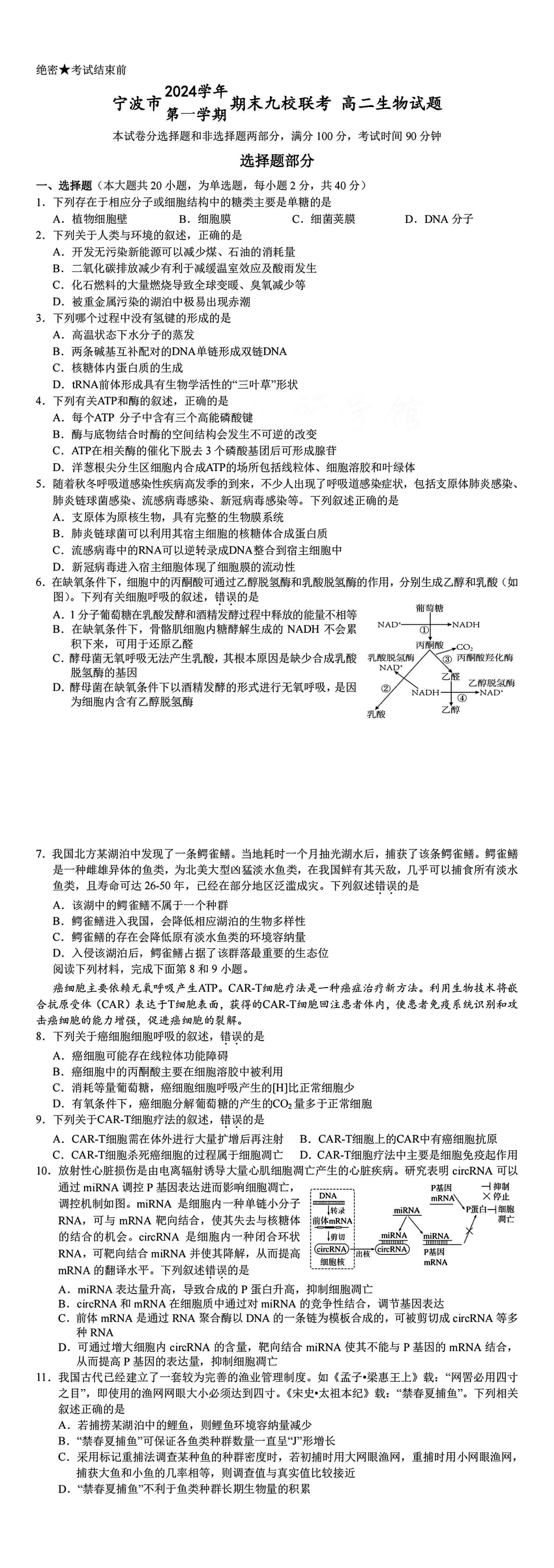 缩略图