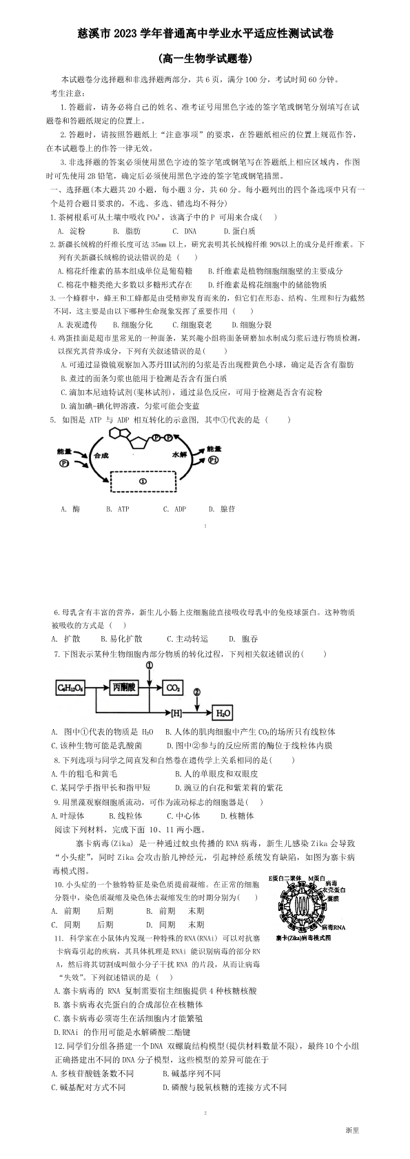 缩略图