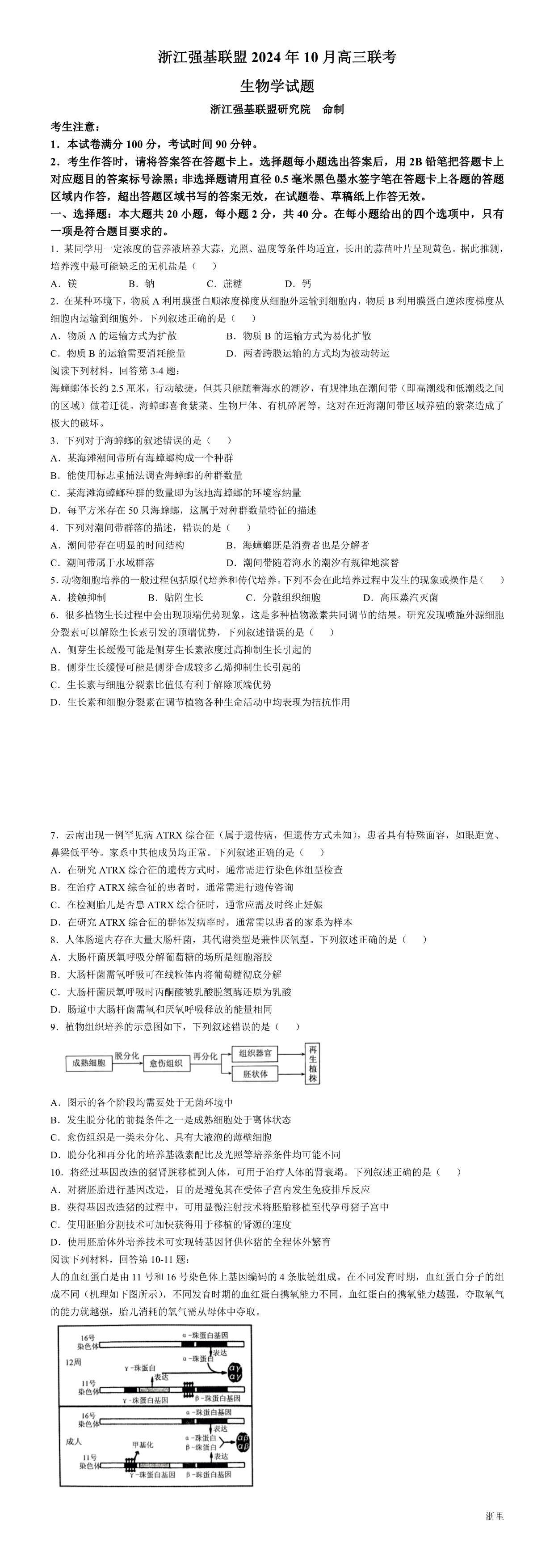 缩略图