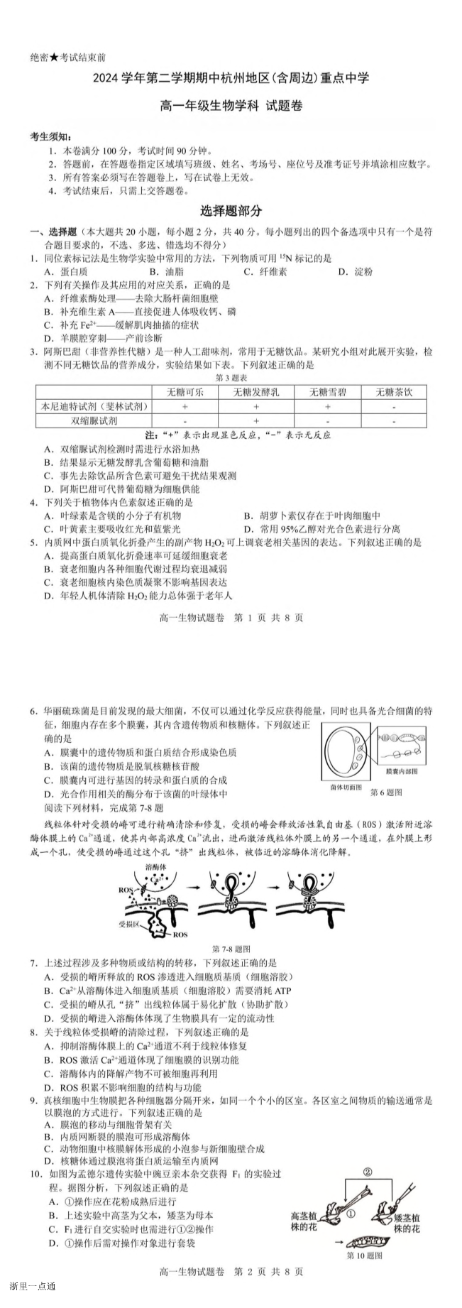 缩略图