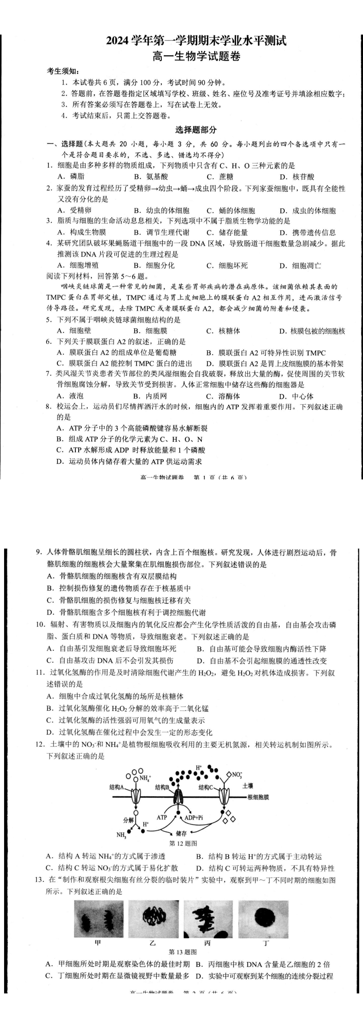 缩略图