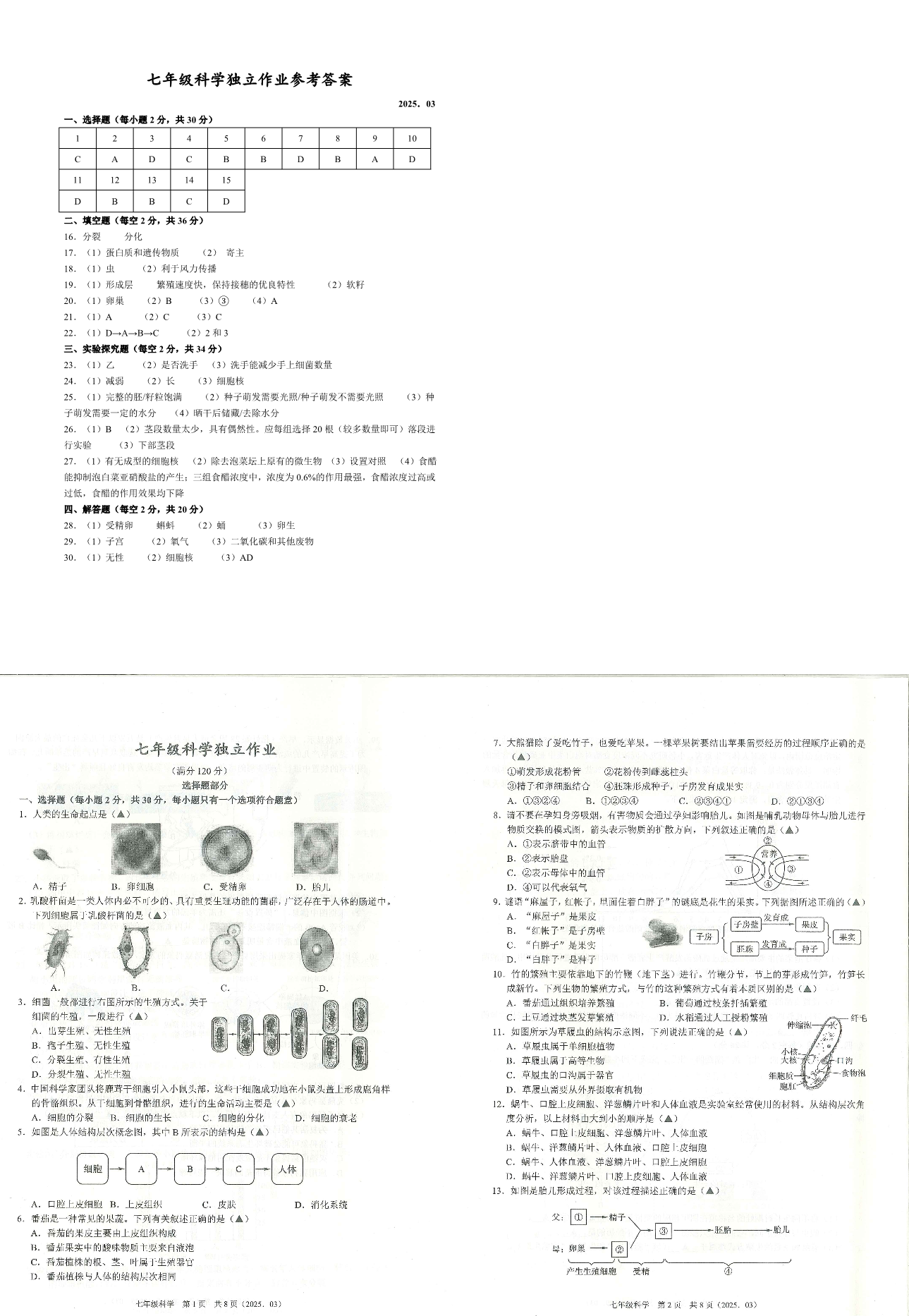 缩略图