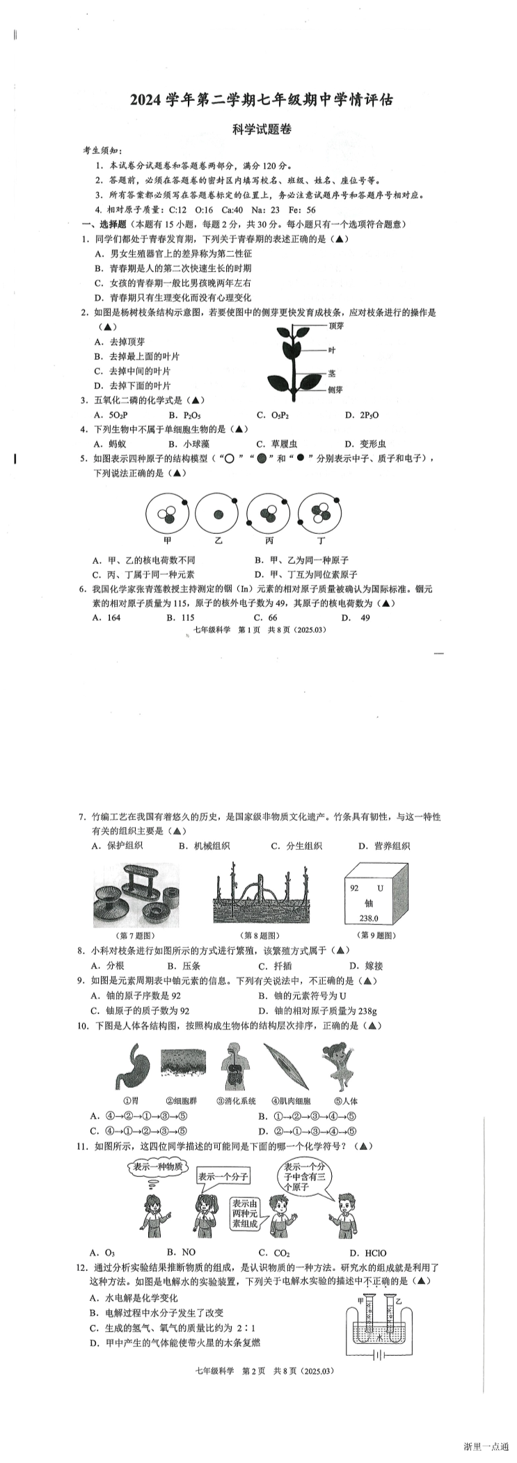 缩略图