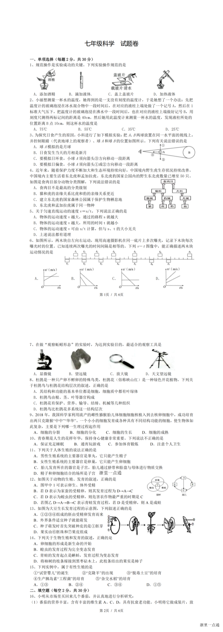 缩略图