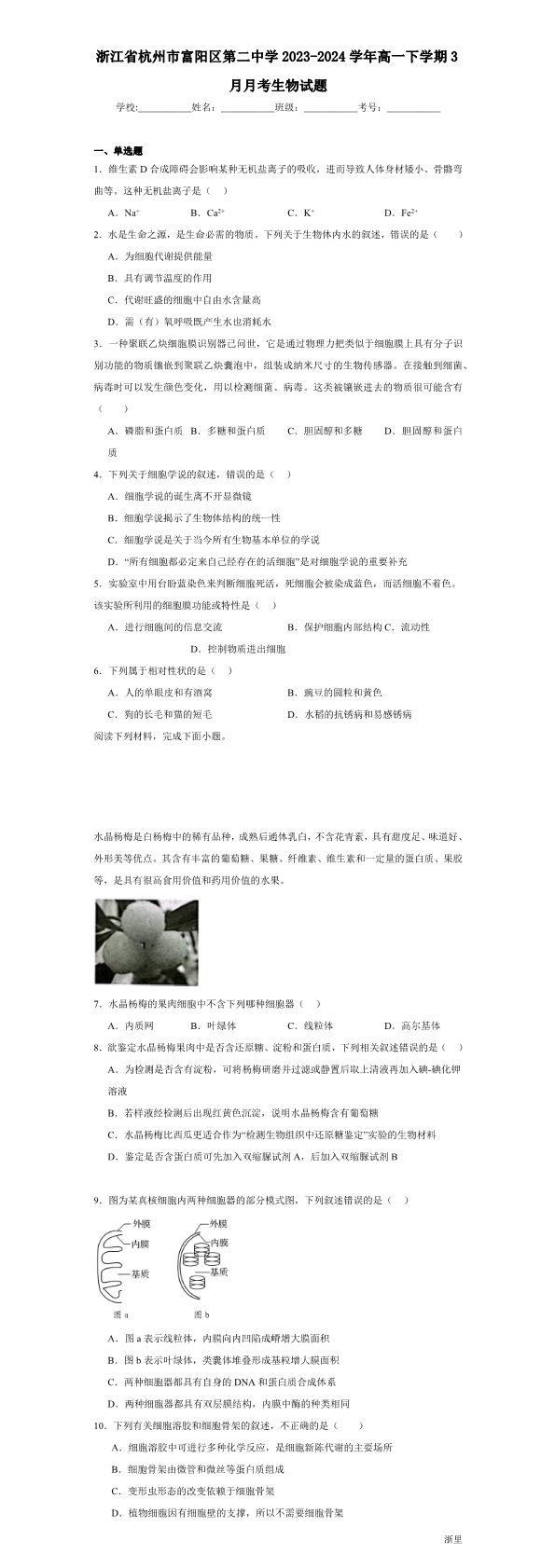 缩略图