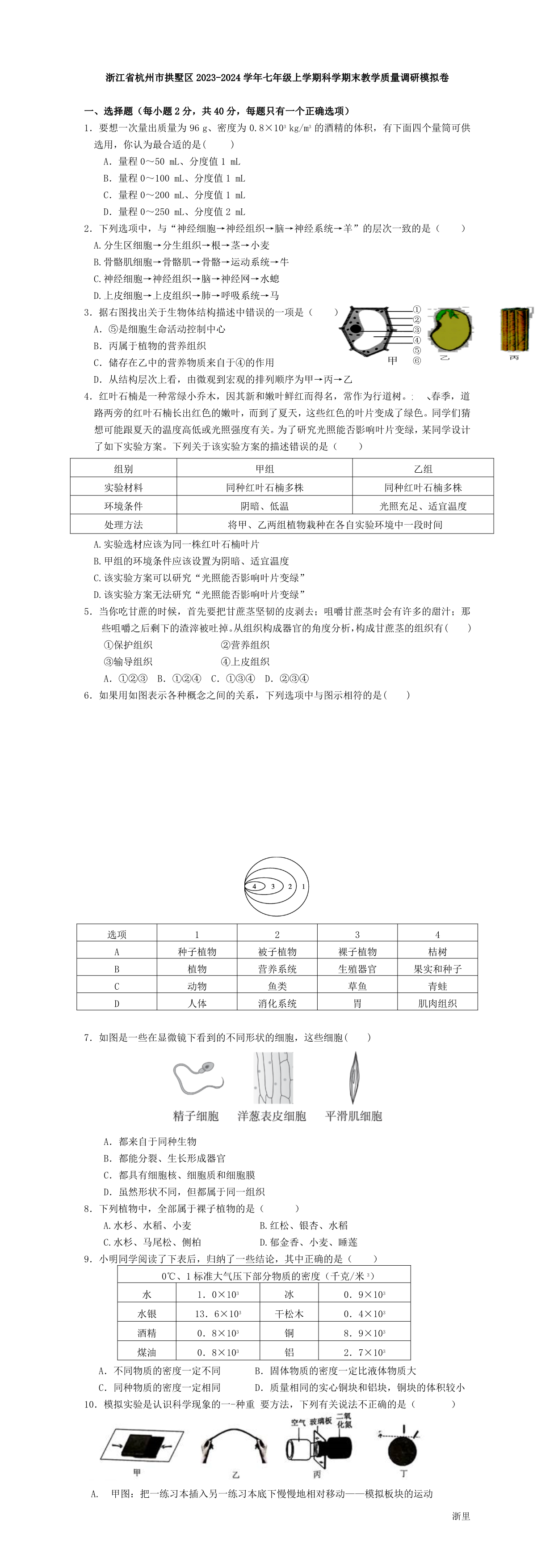 缩略图