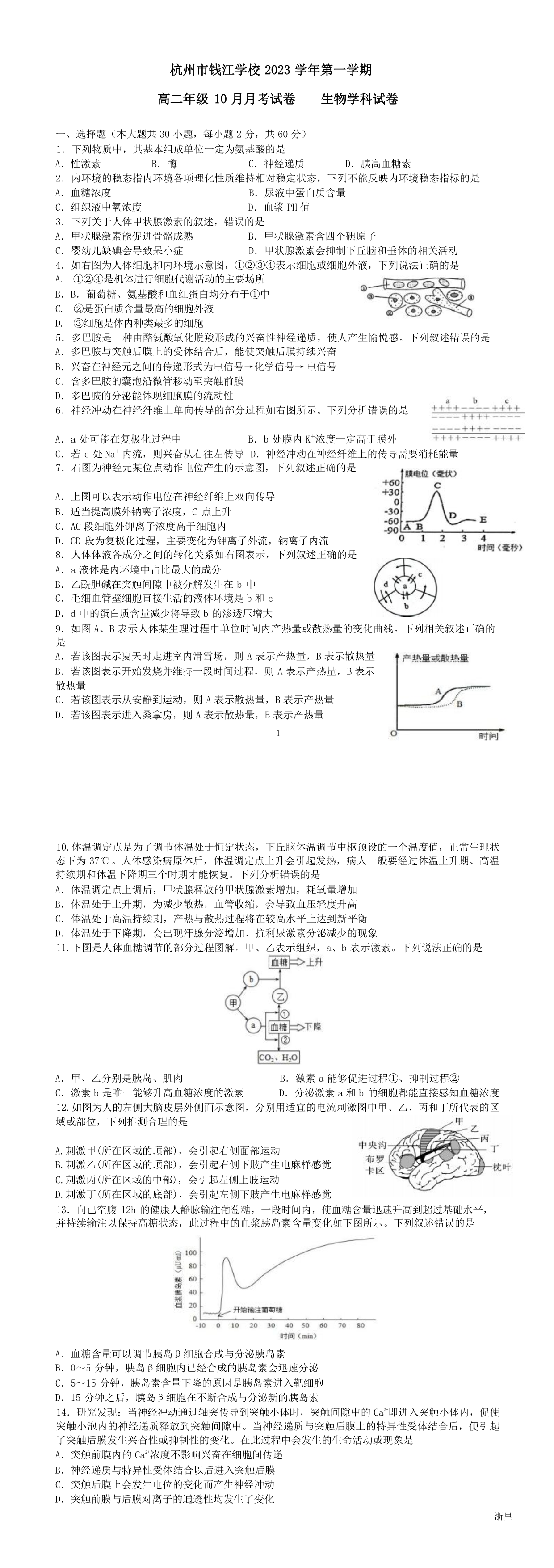 暂无预览