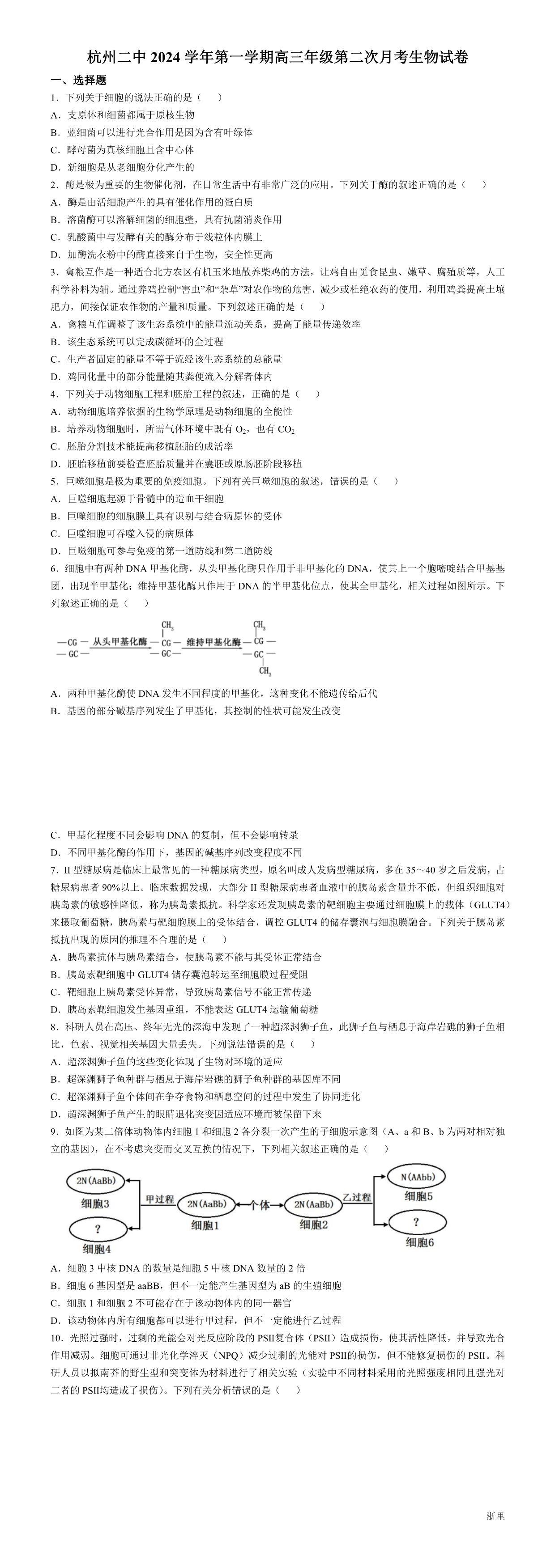 缩略图