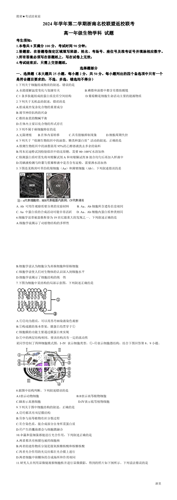 缩略图