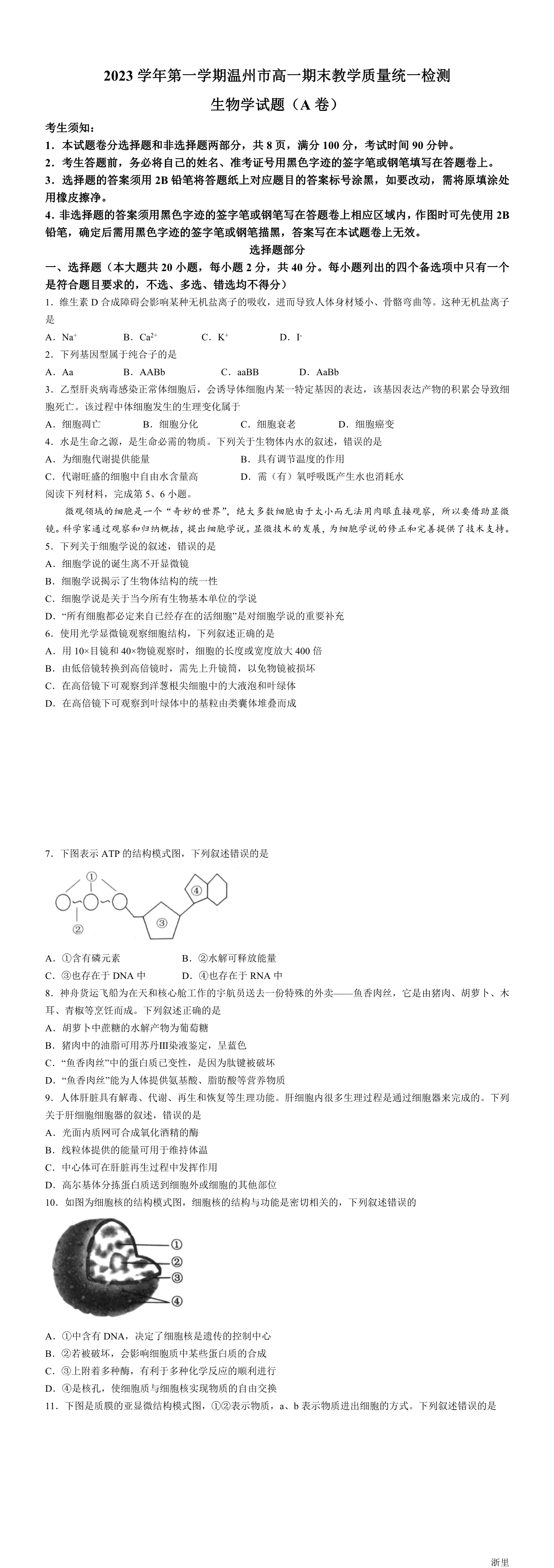 缩略图