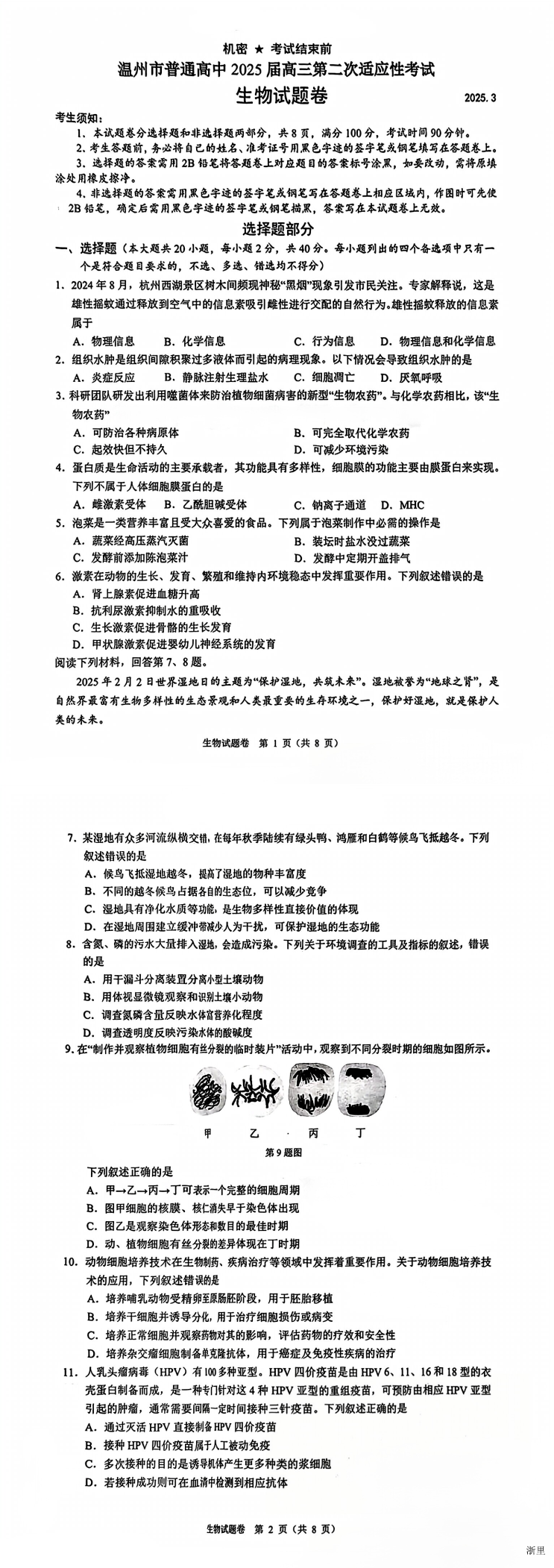 缩略图