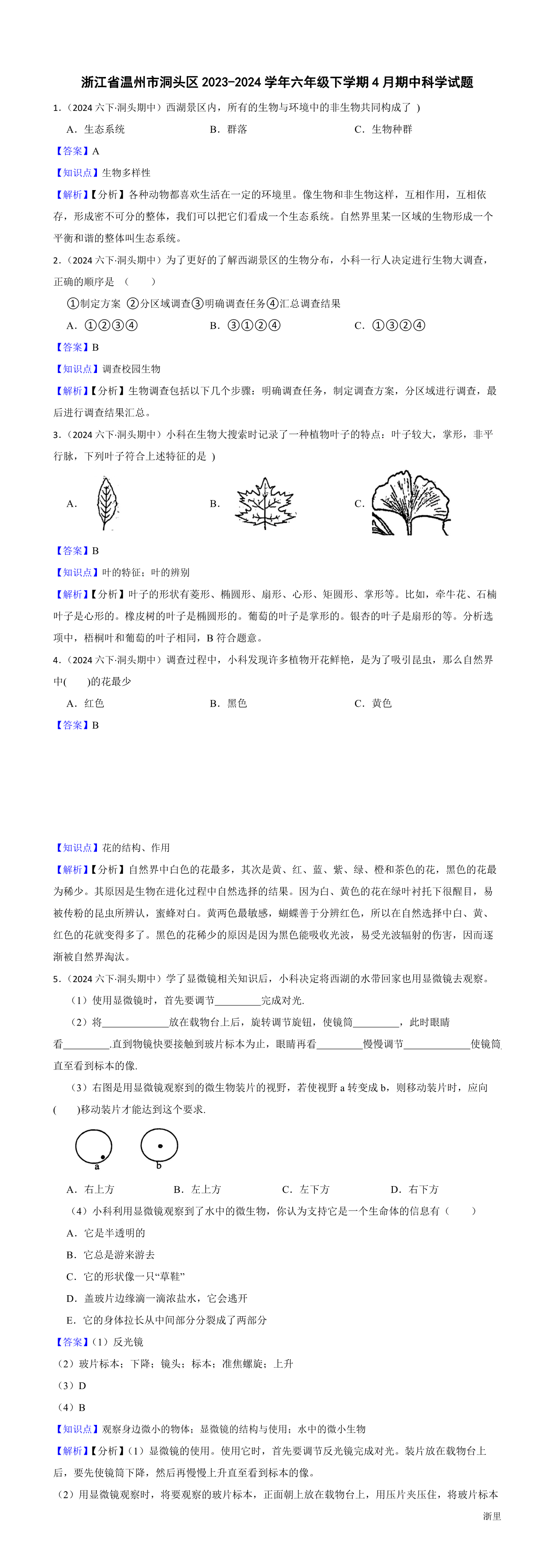 缩略图