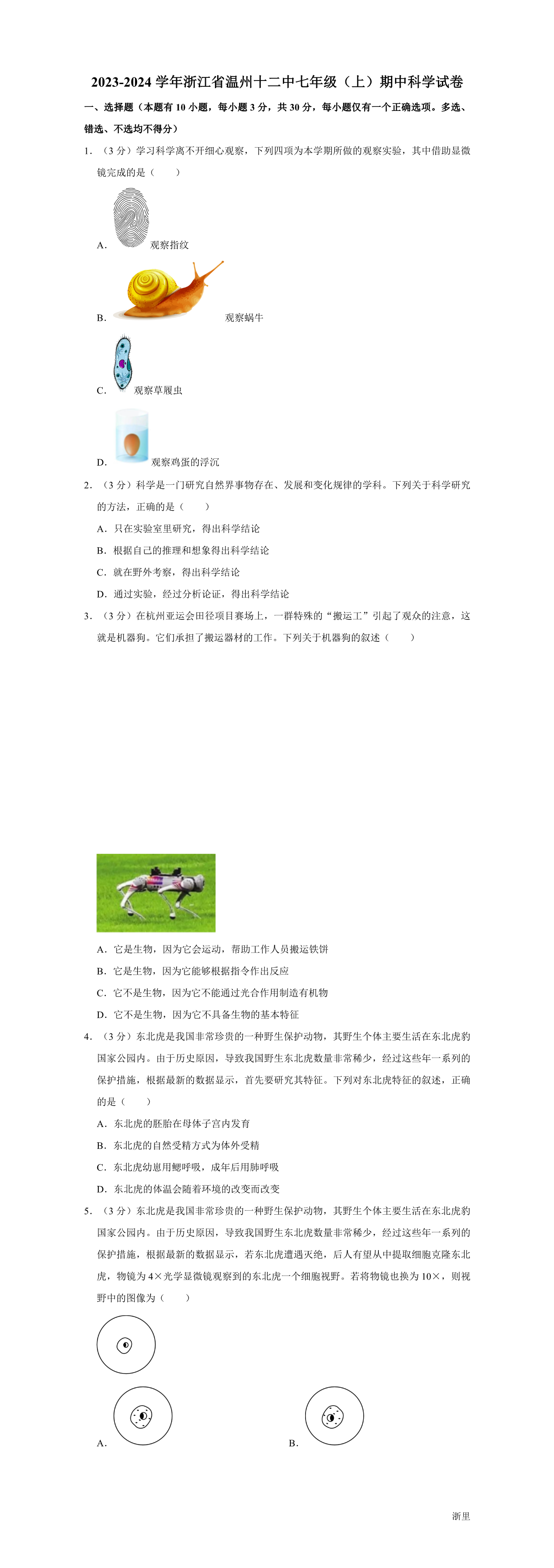 缩略图