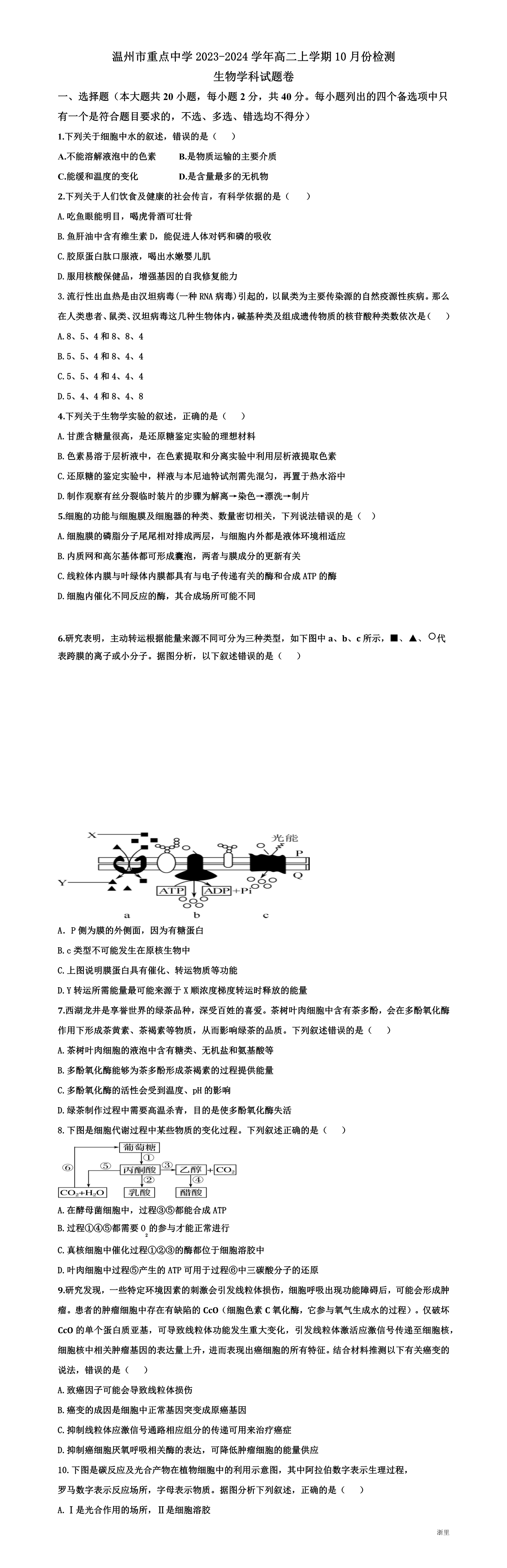 缩略图
