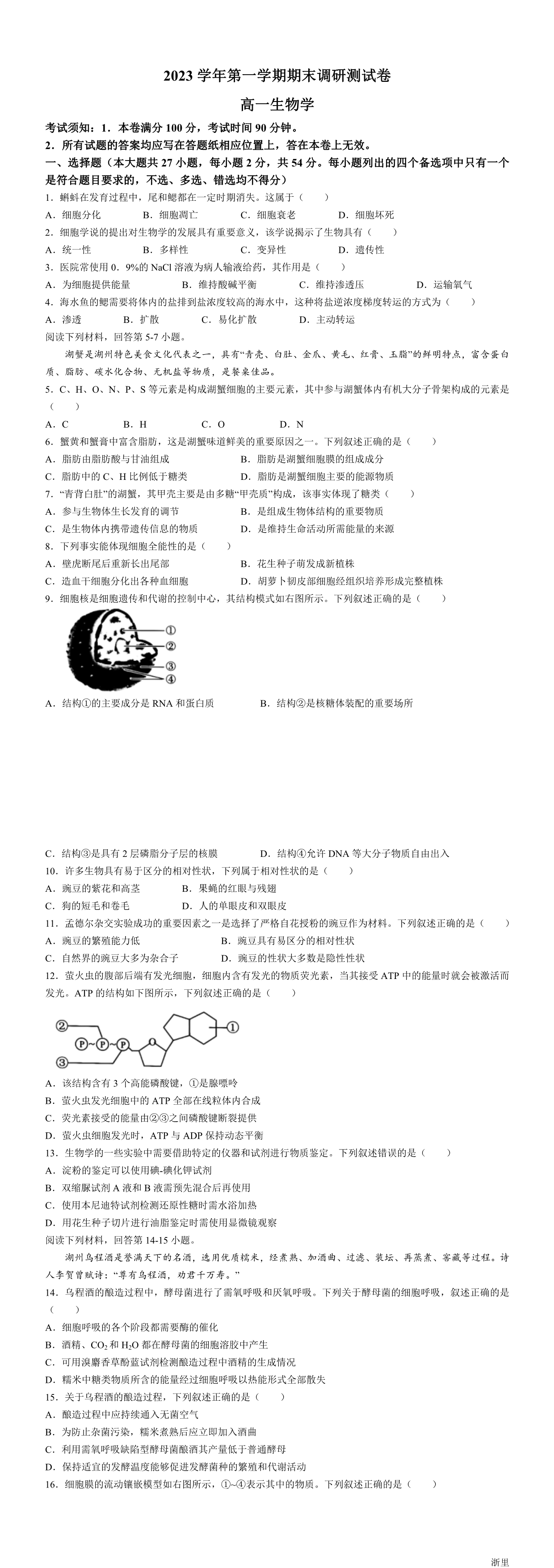 缩略图