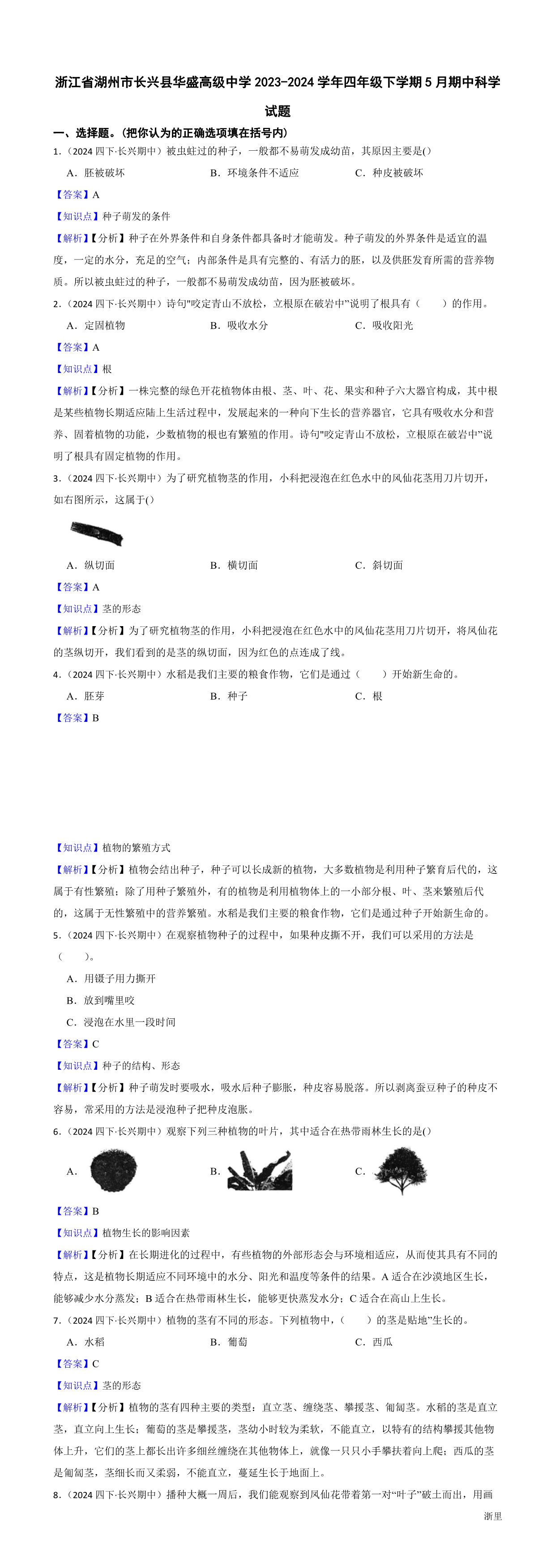 缩略图