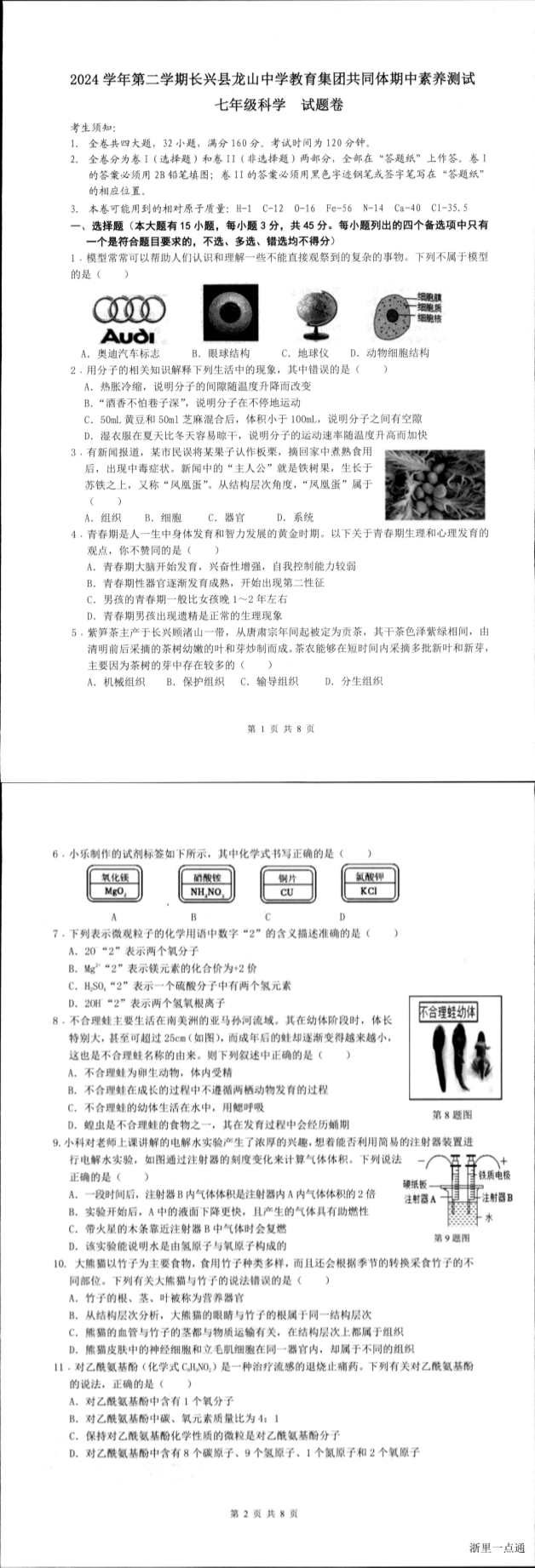 暂无预览