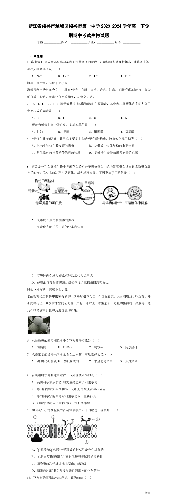 缩略图