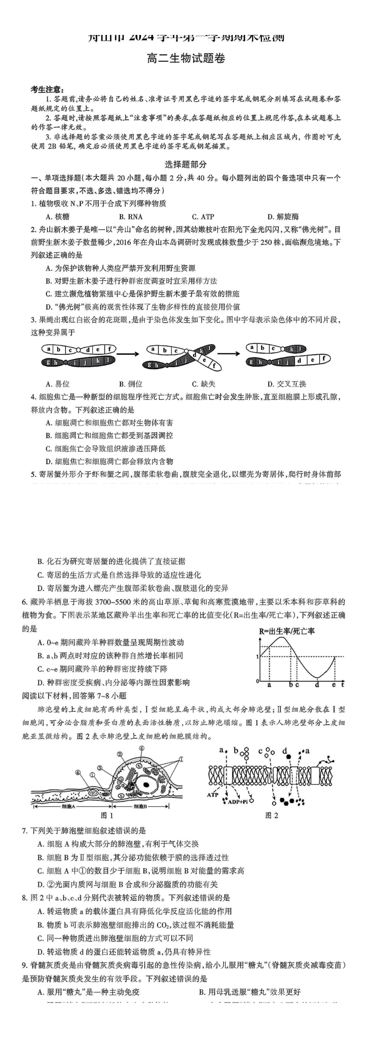 缩略图