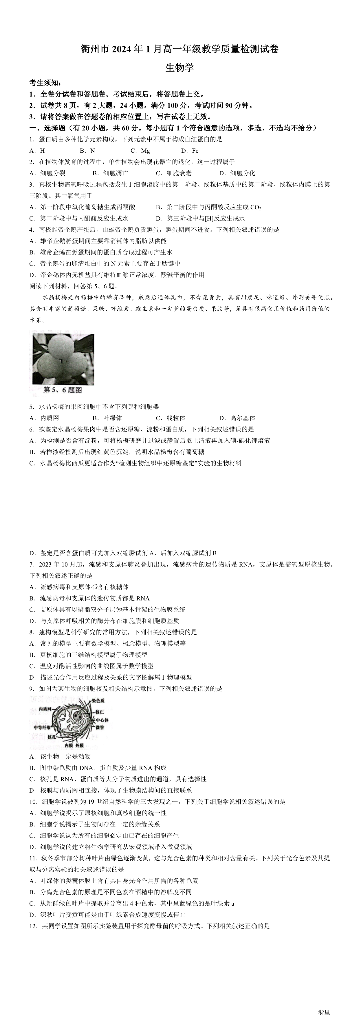 缩略图