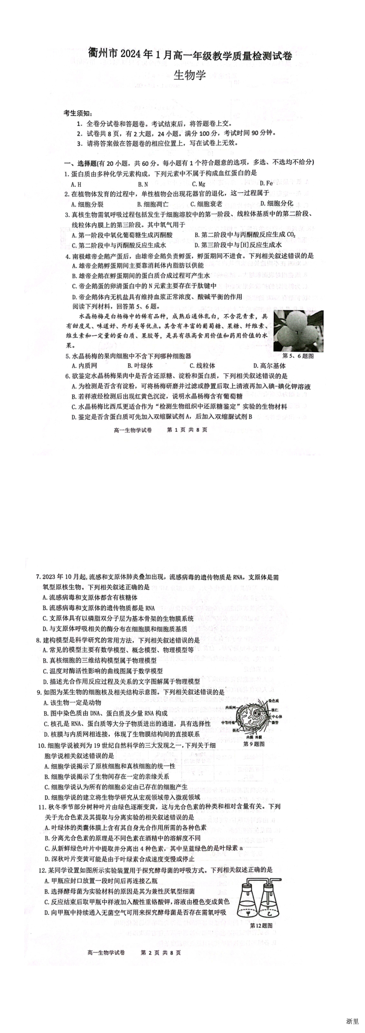 缩略图