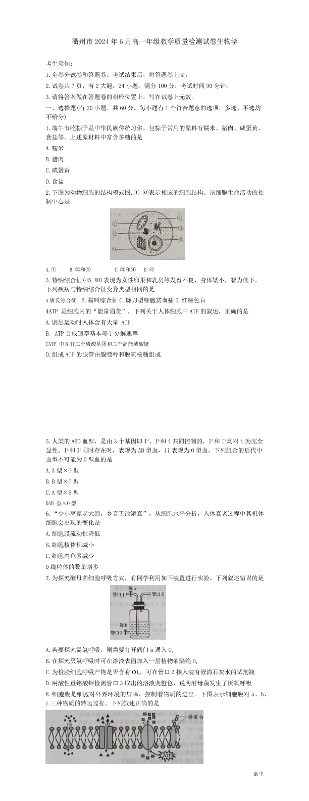 缩略图