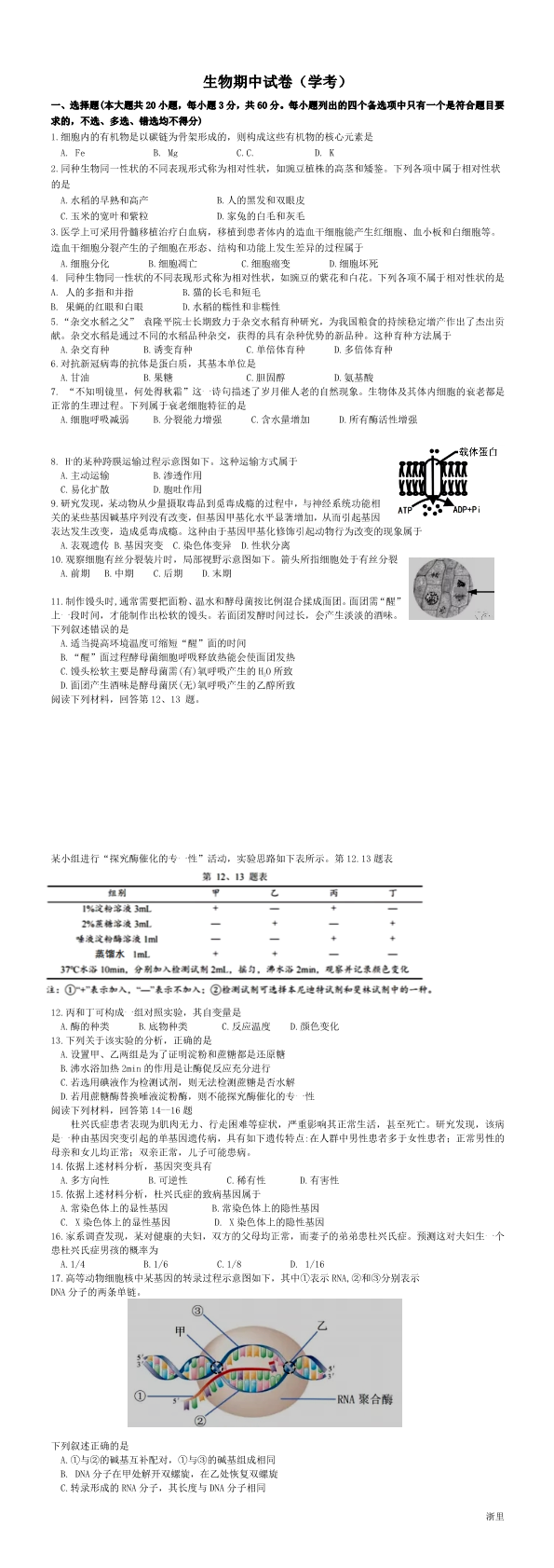 缩略图