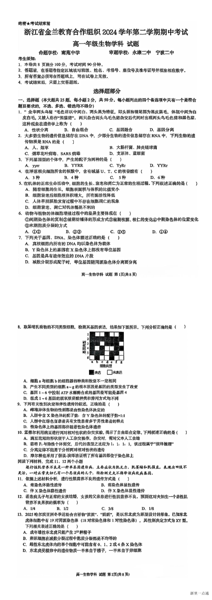 缩略图