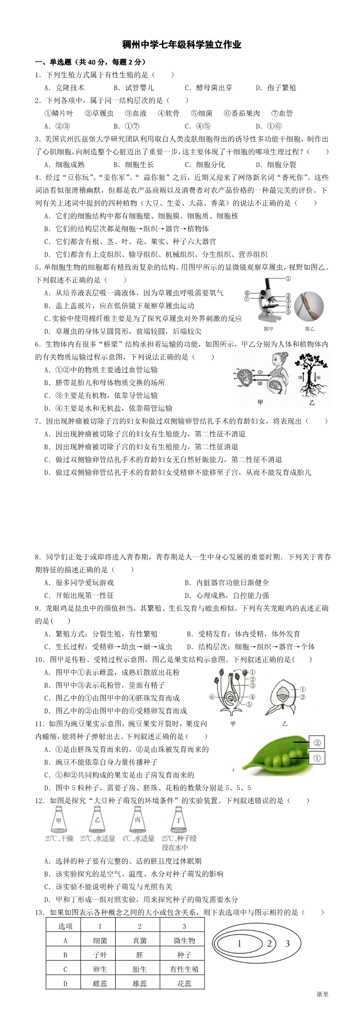 缩略图