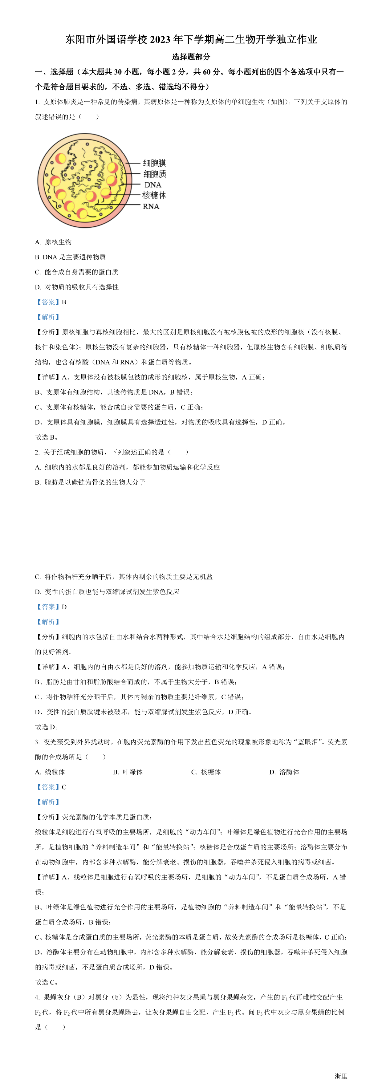 缩略图