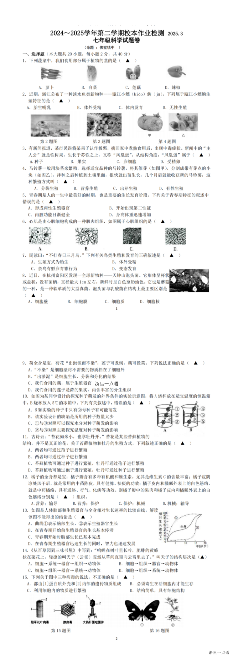 缩略图