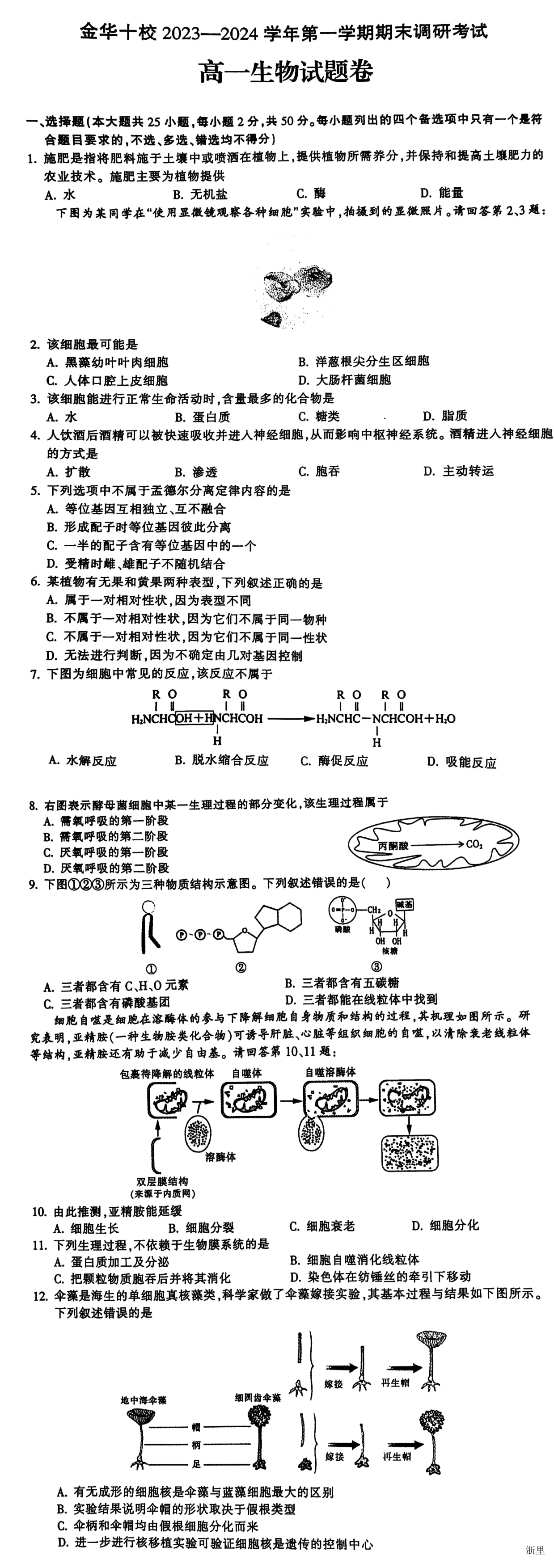 缩略图