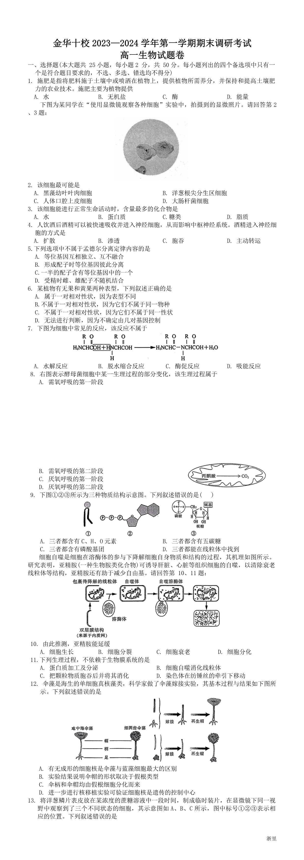 缩略图