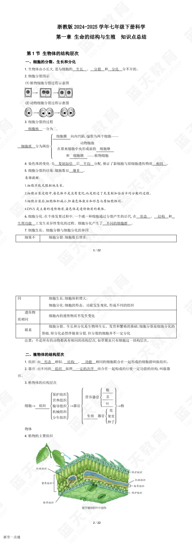 缩略图